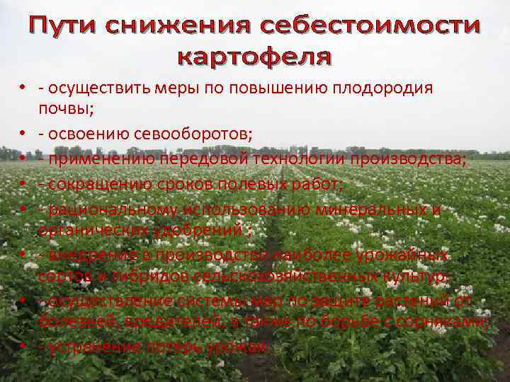  • - осуществить меры по повышению плодородия почвы; • - освоению севооборотов; •