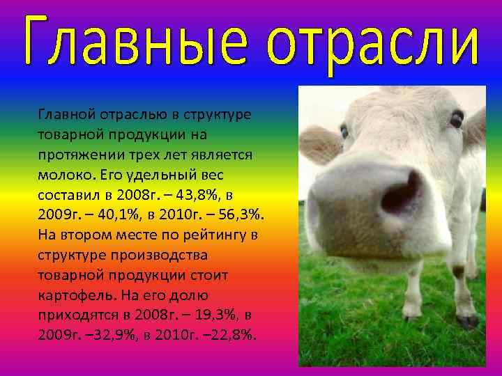 Главной отраслью в структуре товарной продукции на протяжении трех лет является молоко. Его удельный
