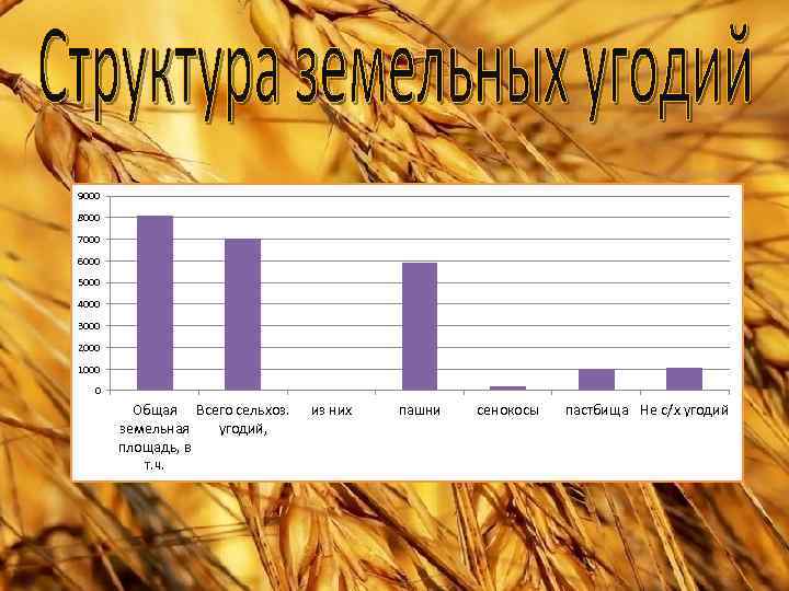 9000 8000 7000 6000 5000 4000 3000 2000 1000 0 Общая Всего сельхоз. земельная