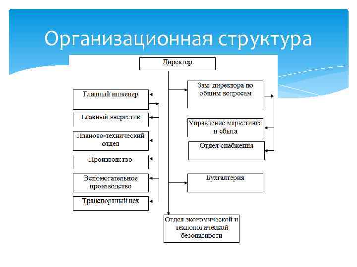Организационная структура 