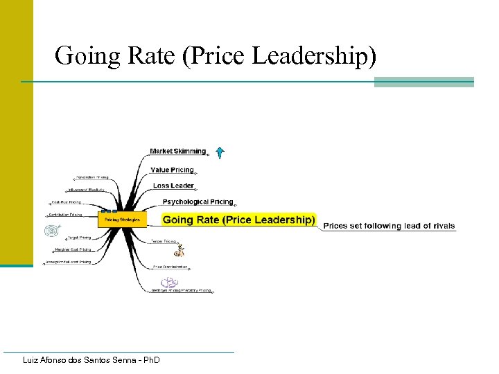 Going Rate (Price Leadership) Luiz Afonso dos Santos Senna - Ph. D 