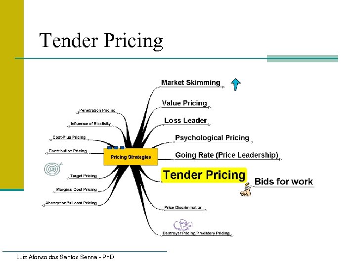 Tender Pricing Luiz Afonso dos Santos Senna - Ph. D 