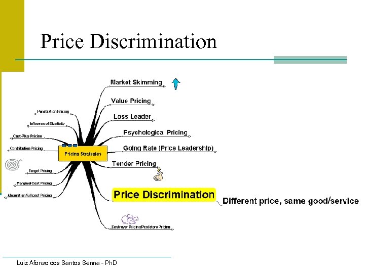Price Discrimination Luiz Afonso dos Santos Senna - Ph. D 