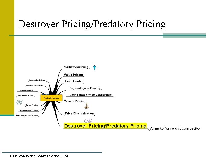 Destroyer Pricing/Predatory Pricing Luiz Afonso dos Santos Senna - Ph. D 