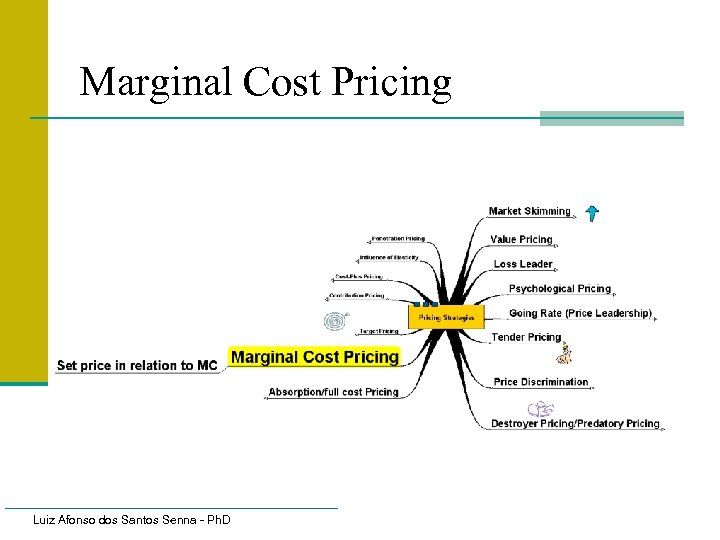 Marginal Cost Pricing Luiz Afonso dos Santos Senna - Ph. D 