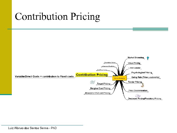 Contribution Pricing Luiz Afonso dos Santos Senna - Ph. D 