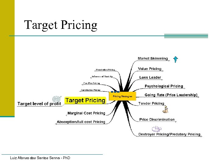 Target Pricing Luiz Afonso dos Santos Senna - Ph. D 
