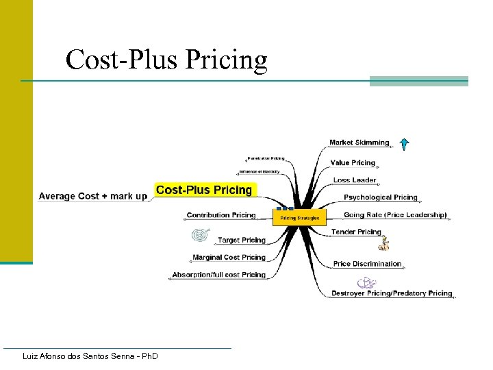 Cost-Plus Pricing Luiz Afonso dos Santos Senna - Ph. D 
