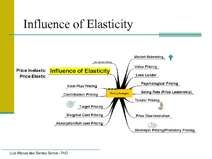 Influence of Elasticity Luiz Afonso dos Santos Senna - Ph. D 