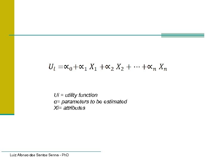 Ui = utility function α= parameters to be estimated Xi= attributes Luiz Afonso dos