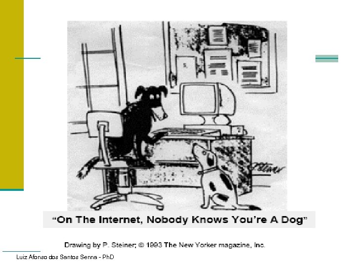 Luiz Afonso dos Santos Senna - Ph. D 