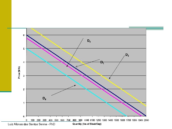 Luiz Afonso dos Santos Senna - Ph. D 