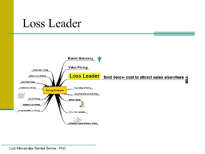 Loss Leader Luiz Afonso dos Santos Senna - Ph. D 