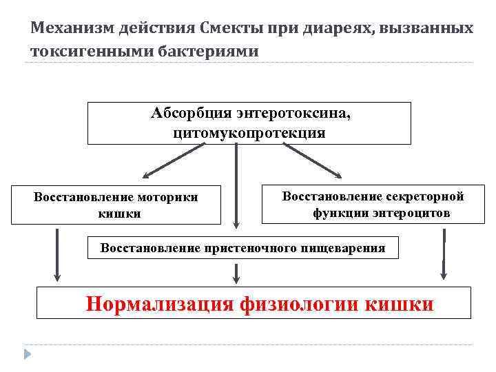 Механизм действия Смекты при диареях, вызванных токсигенными бактериями Абсорбция энтеротоксина, цитомукопротекция Восстановление моторики кишки