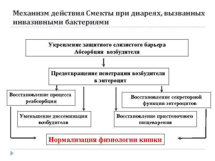 Механизм действия Смекты при диареях, вызванных инвазивными бактериями Укрепление защитного слизистого барьера Абсорбция возбудителя