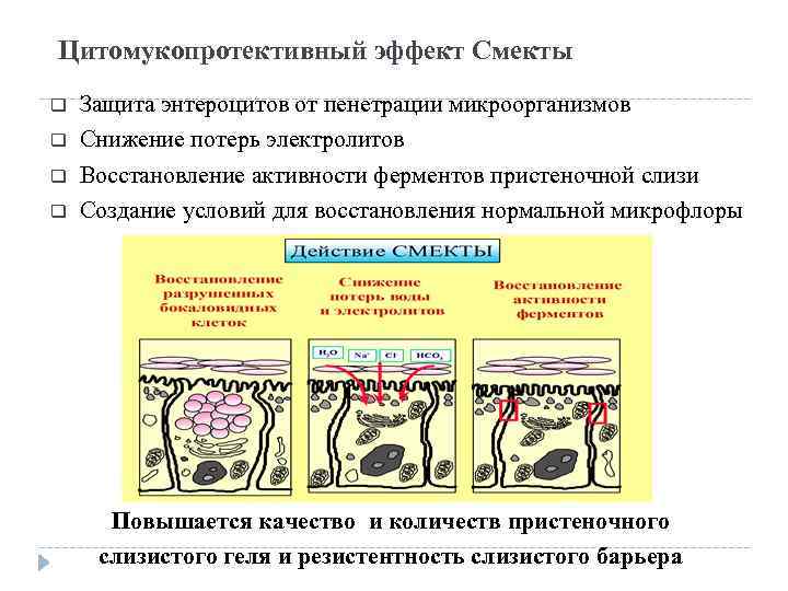 Цитомукопротективный эффект Смекты q q Защита энтероцитов от пенетрации микроорганизмов Снижение потерь электролитов Восстановление