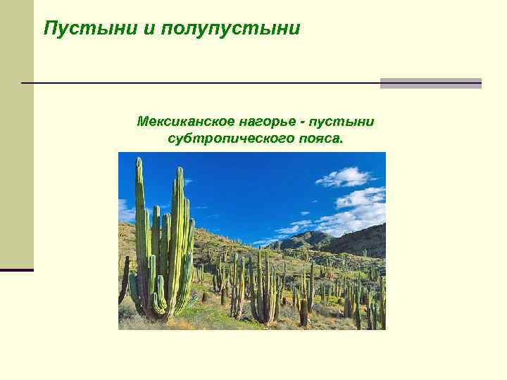 Пустыни и полупустыни Мексиканское нагорье - пустыни субтропического пояса. 