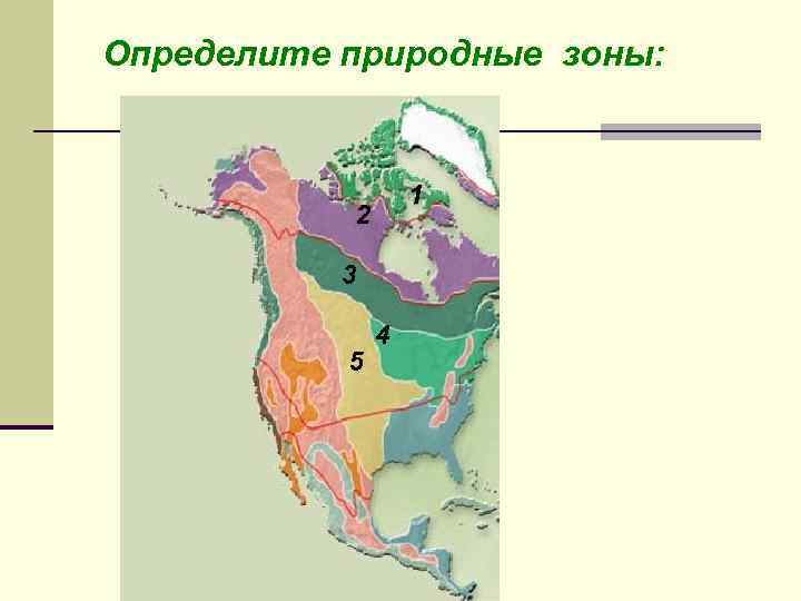 Определите природные зоны: 1 2 3 5 4 