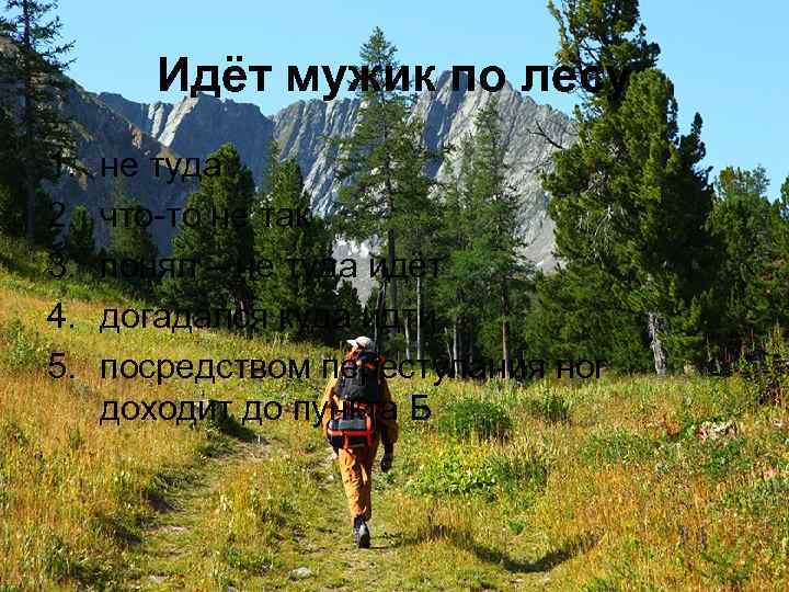 Идёт мужик по лесу 1. 2. 3. 4. 5. не туда что-то не так