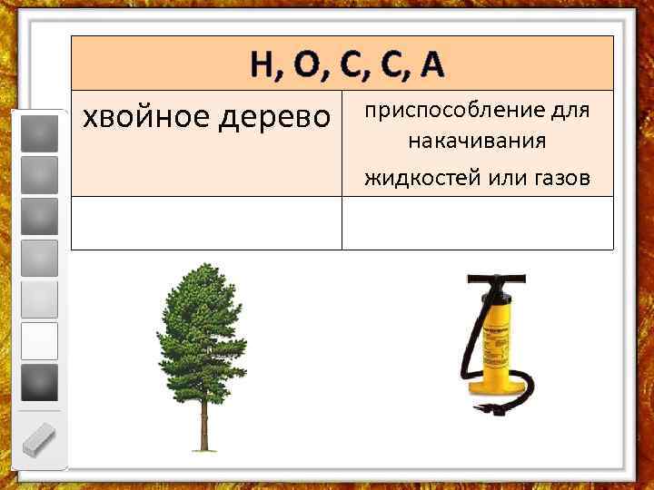 Н, О, С, С, А хвойное дерево приспособление для накачивания жидкостей или газов 