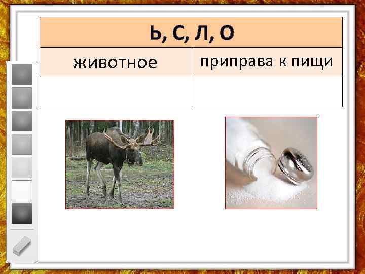 Ь, С, Л, О животное приправа к пищи 