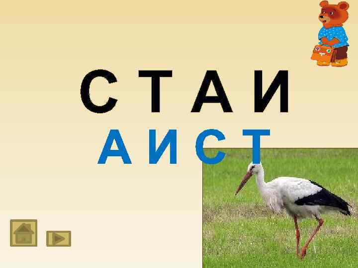 СТАИ АИСТ 