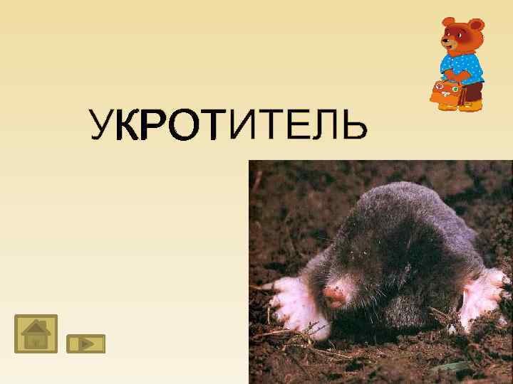 УКРОТИТЕЛЬ КРОТ 