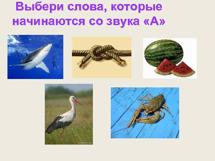 Выбери слова, которые начинаются со звука «А» 
