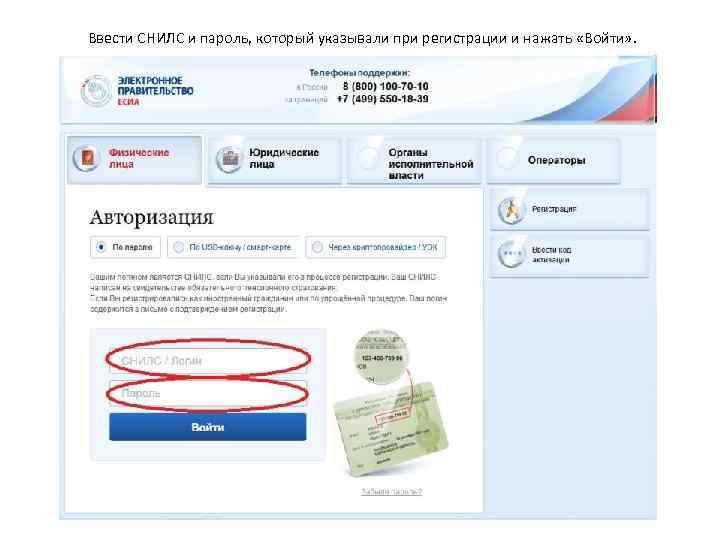 Ввести СНИЛС и пароль, который указывали при регистрации и нажать «Войти» . 