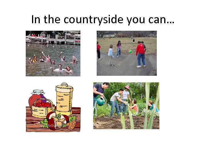 In the countryside you can… 