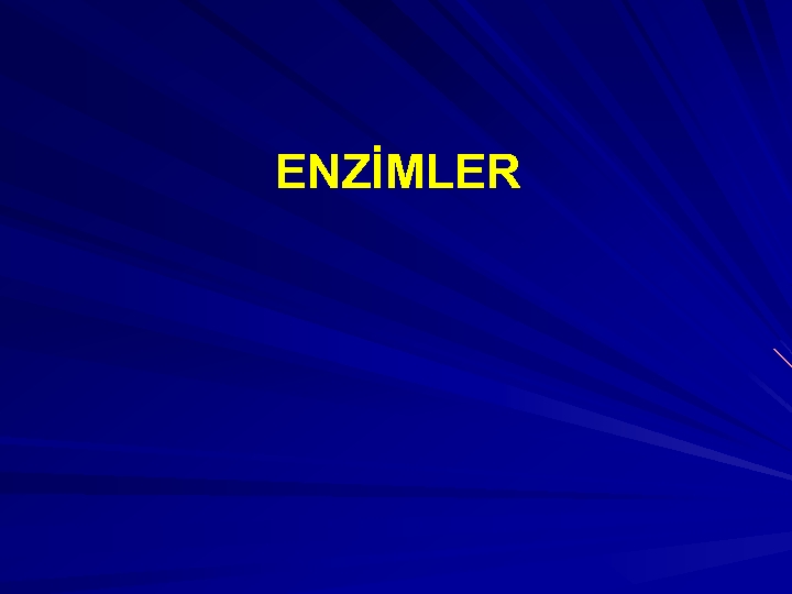 ENZİMLER 