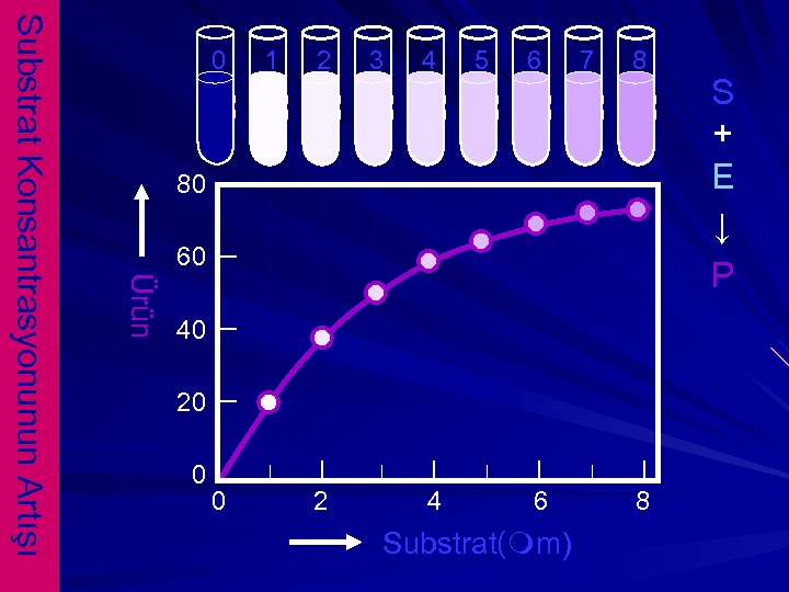 1 2 3 4 5 6 7 8 80 60 Ürün Substrat Konsantrasyonunun Artışı