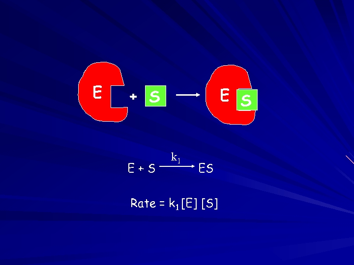 E E S + S E+S k 1 ES Rate = k 1 [E]