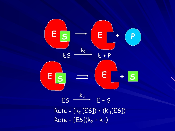 E S ES E k 2 ES k-1 P E+P E E S +