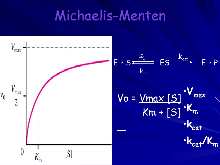 Michaelis-Menten E+S Vmax Km Kcat/Km k 1 k-1 ES kcat E+P • Vmax •