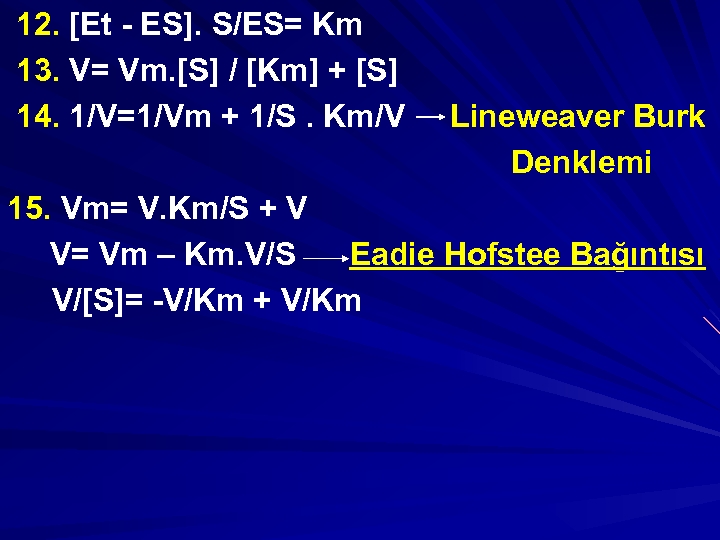 12. [Et - ES]. S/ES= Km 13. V= Vm. [S] / [Km] + [S]