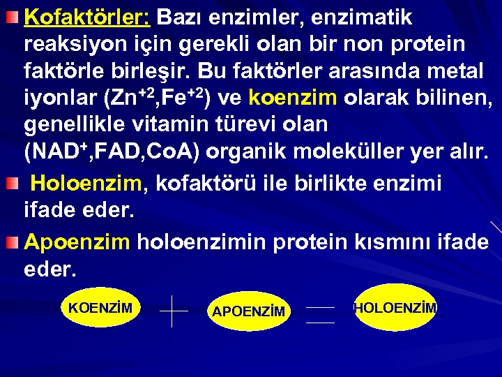 Kofaktörler: Bazı enzimler, enzimatik reaksiyon için gerekli olan bir non protein faktörle birleşir. Bu