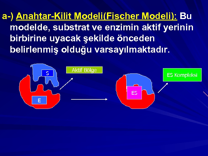 a-) Anahtar-Kilit Modeli(Fischer Modeli): Bu modelde, substrat ve enzimin aktif yerinin birbirine uyacak şekilde