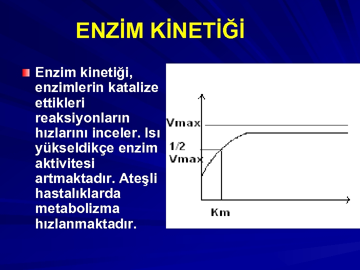 ENZİM KİNETİĞİ Enzim kinetiği, enzimlerin katalize ettikleri reaksiyonların hızlarını inceler. Isı yükseldikçe enzim aktivitesi