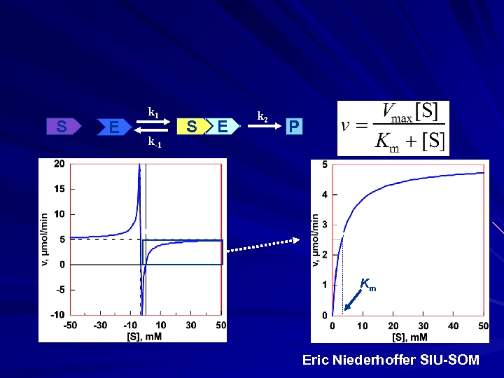 S E k 1 k-1 S E k 2 P -Km, Vmax 0. 5