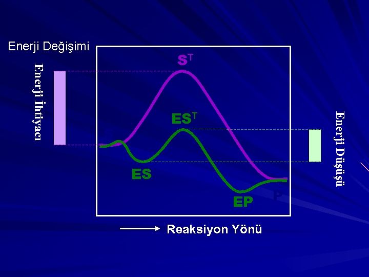 Enerji Değişimi EST S ES EP Reaksiyon Yönü T = Transition state P Enerji