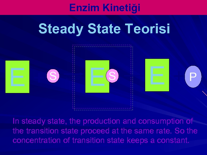 Enzim Kinetiği Steady State Teorisi E + S E +P In steady state, the