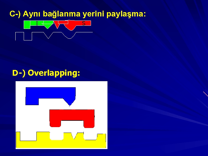 C-) Aynı bağlanma yerini paylaşma: I D-) Overlapping: S 