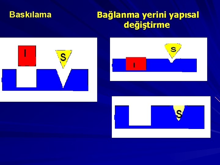 Baskılama Bağlanma yerini yapısal değiştirme 