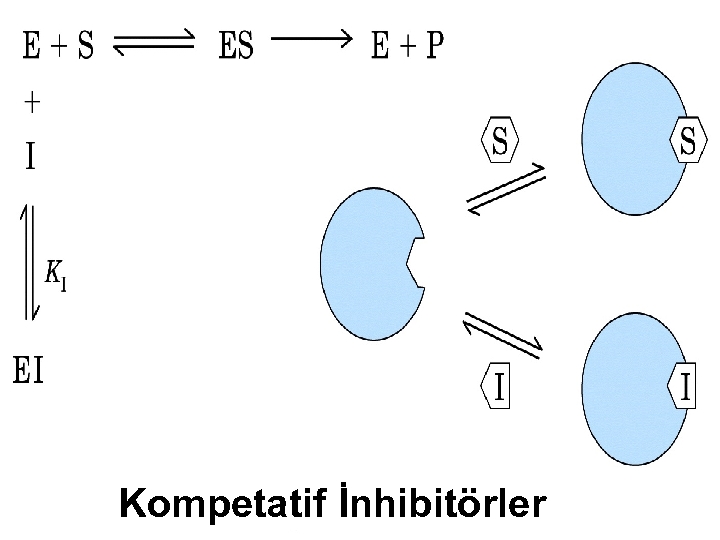 Kompetatif İnhibitörler 