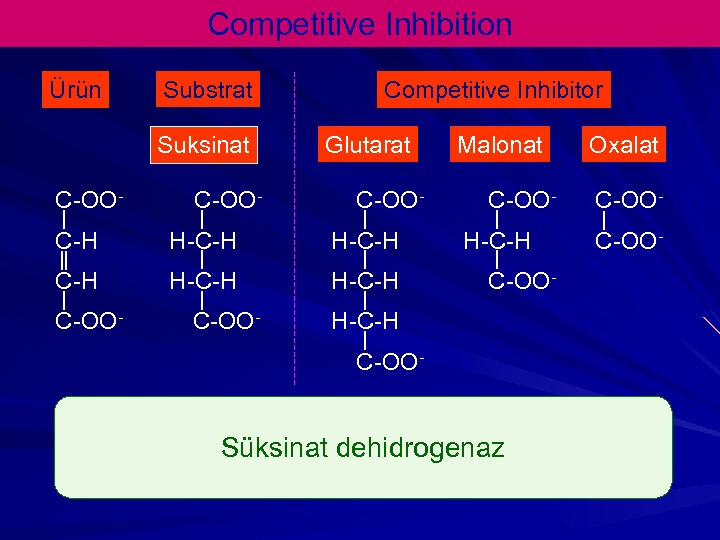 Competitive Inhibition Ürün Substrat Suksinat C-OO- Competitive Inhibitor Glutarat C-OO- C-H H-C-H C-OO- Malonat