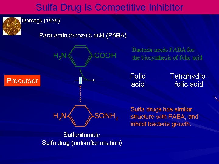 Sulfa Drug Is Competitive Inhibitor Domagk (1939) Para-aminobenzoic acid (PABA) H 2 N- -COOH