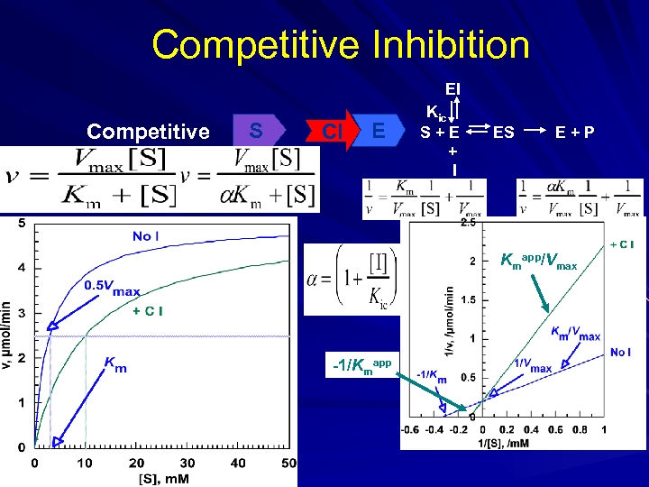 Competitive Inhibition EI Competitive S CI E Kic S+E + I ES E+P Kmapp/Vmax