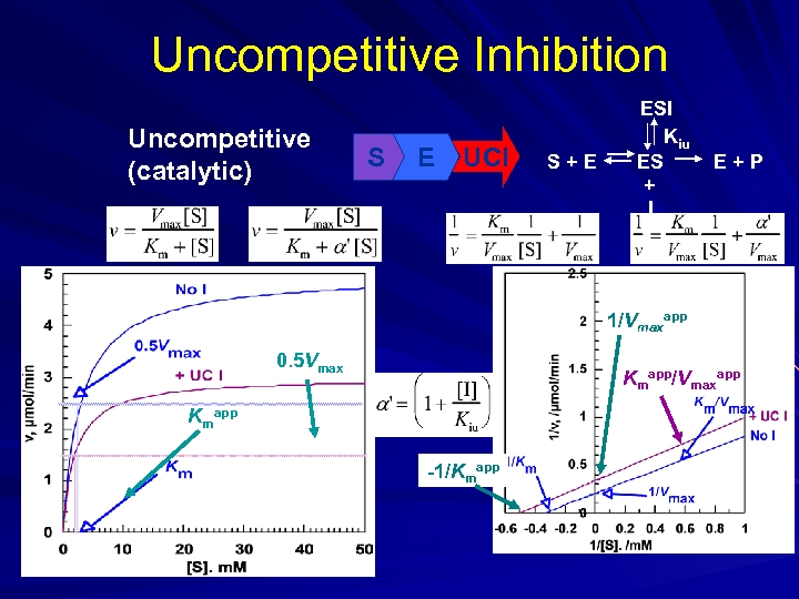 Uncompetitive Inhibition Uncompetitive (catalytic) S E UCI S+E ESI Kiu ES + I E+P