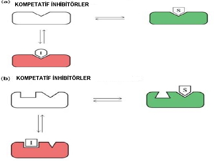 KOMPETATİF İNHİBİTÖRLER 